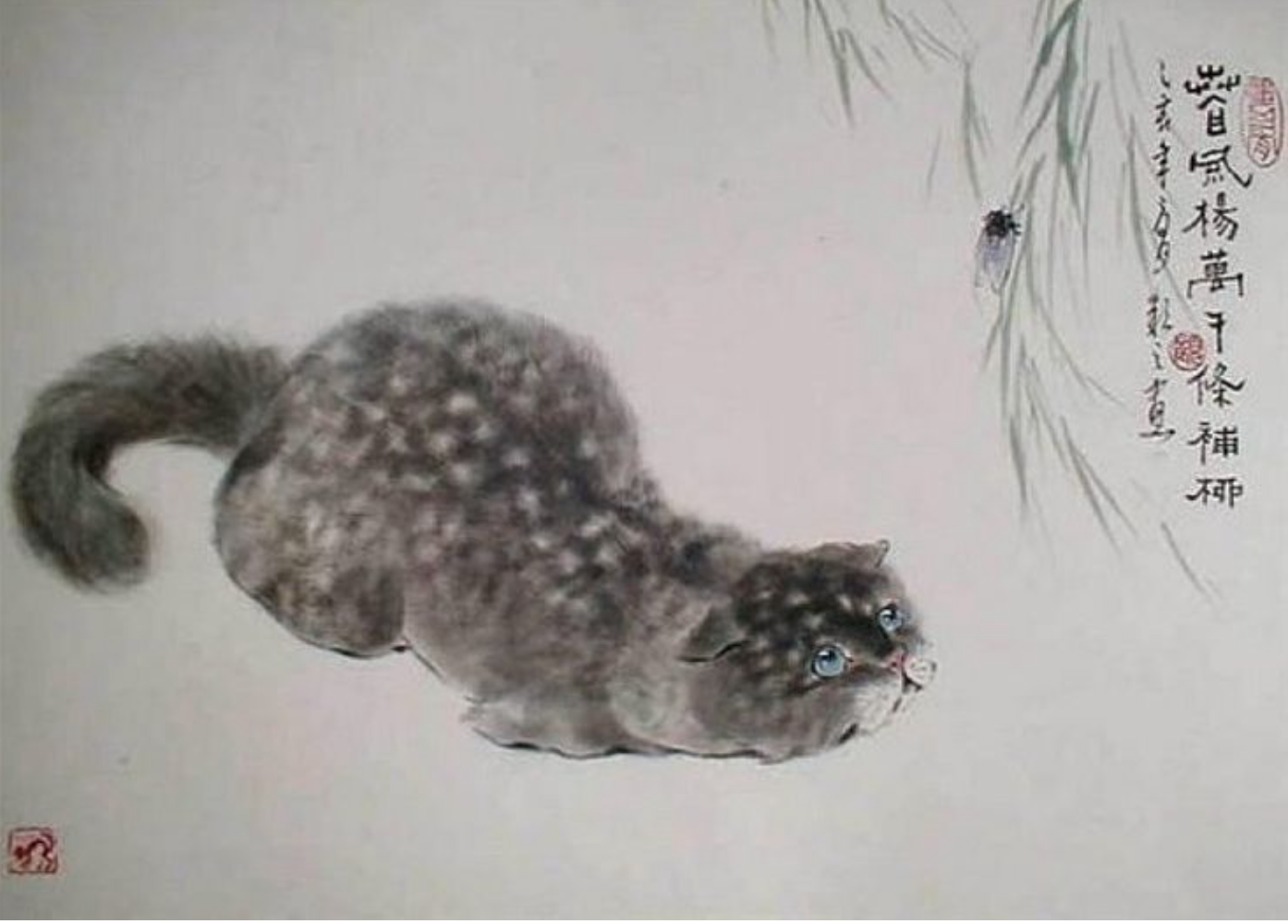 Китайские коты ГУ Йинчжи